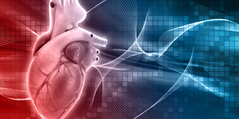 3D render of a medical background with a heart